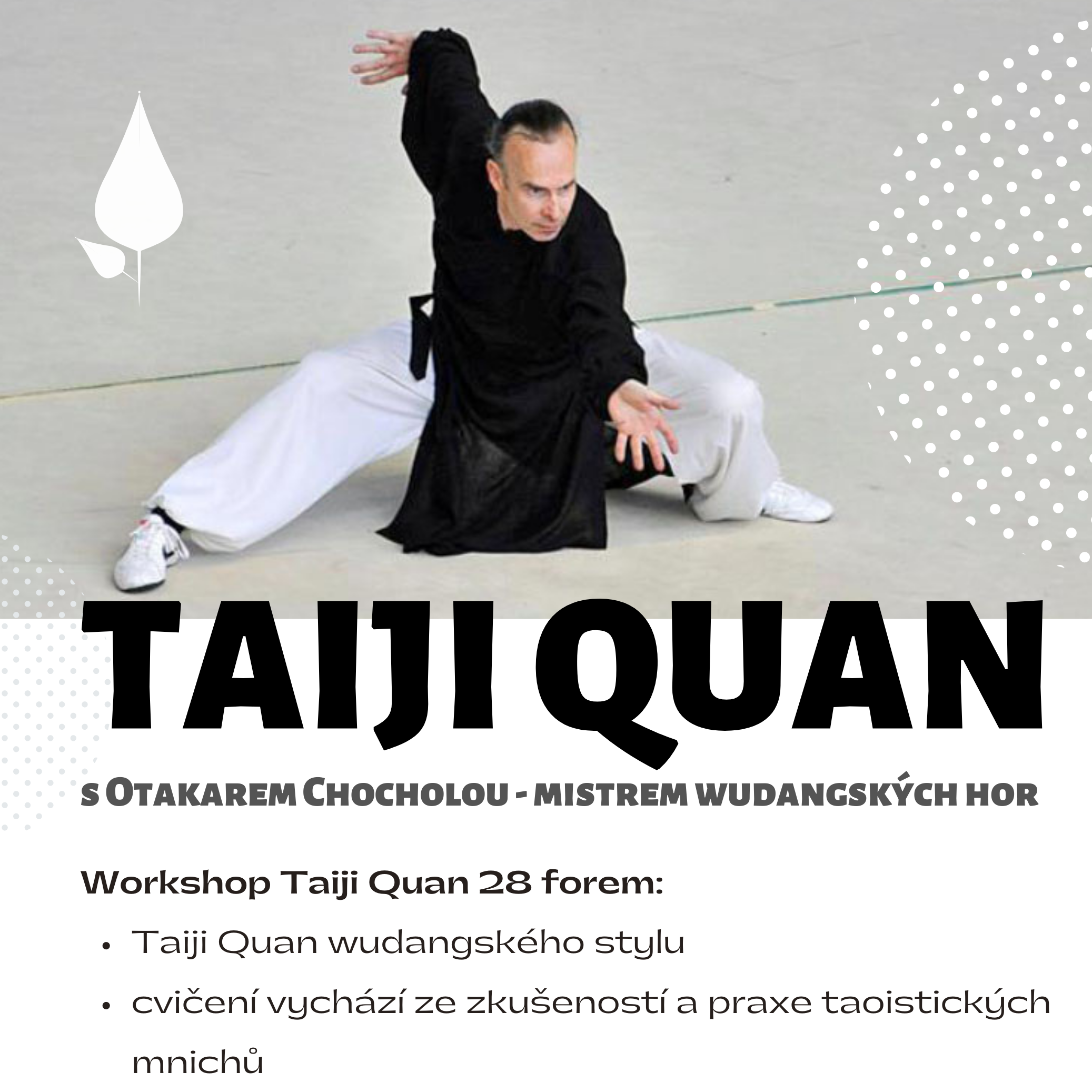 TAI-CHI