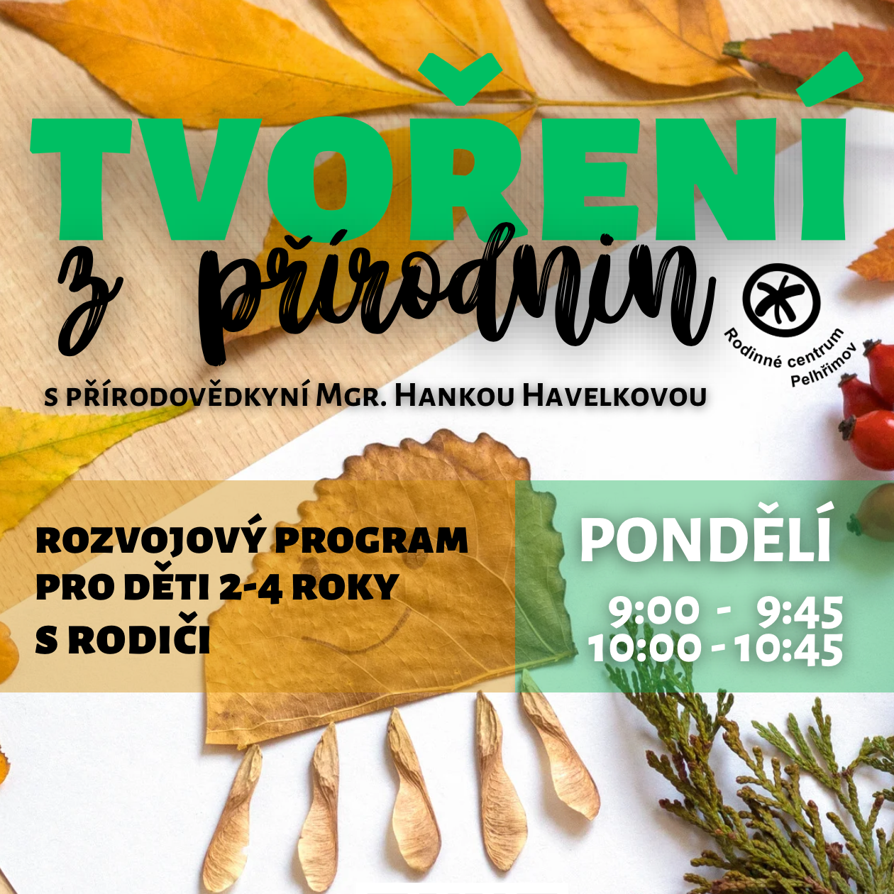 TVOŘENÍ z přírodnin