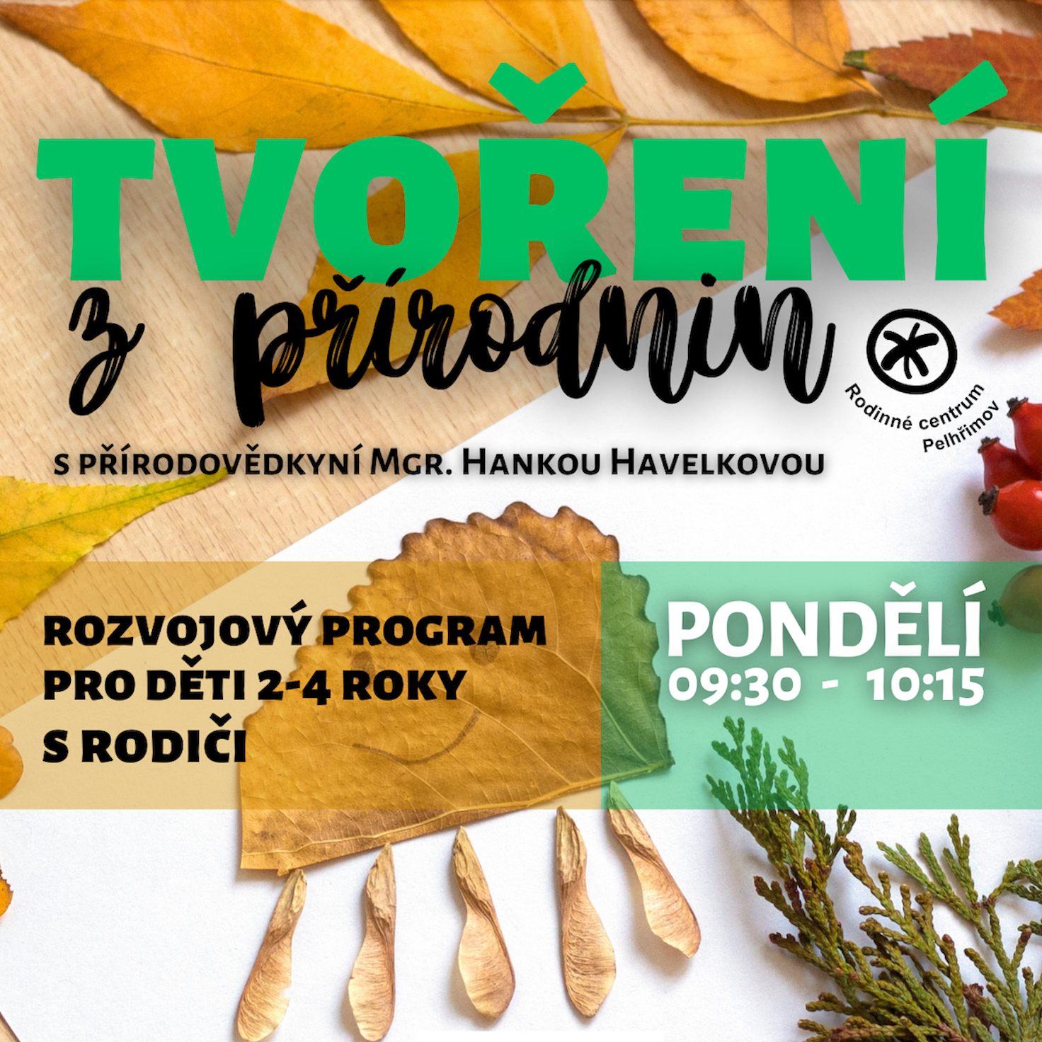 TVOŘENÍ z přírodnin