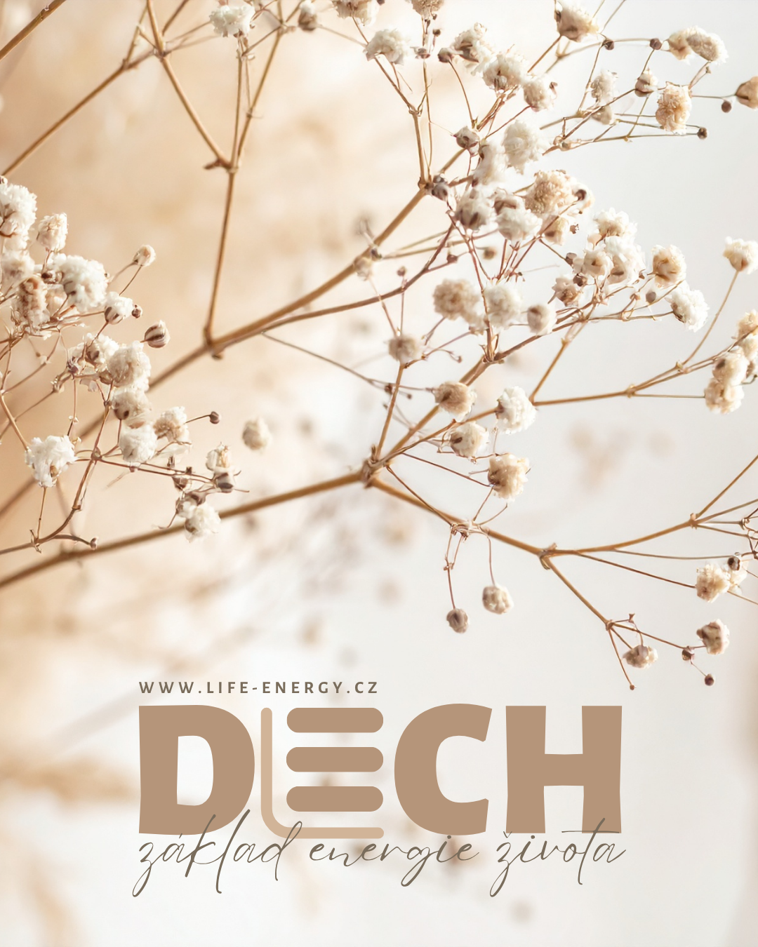 DECH - online kurz