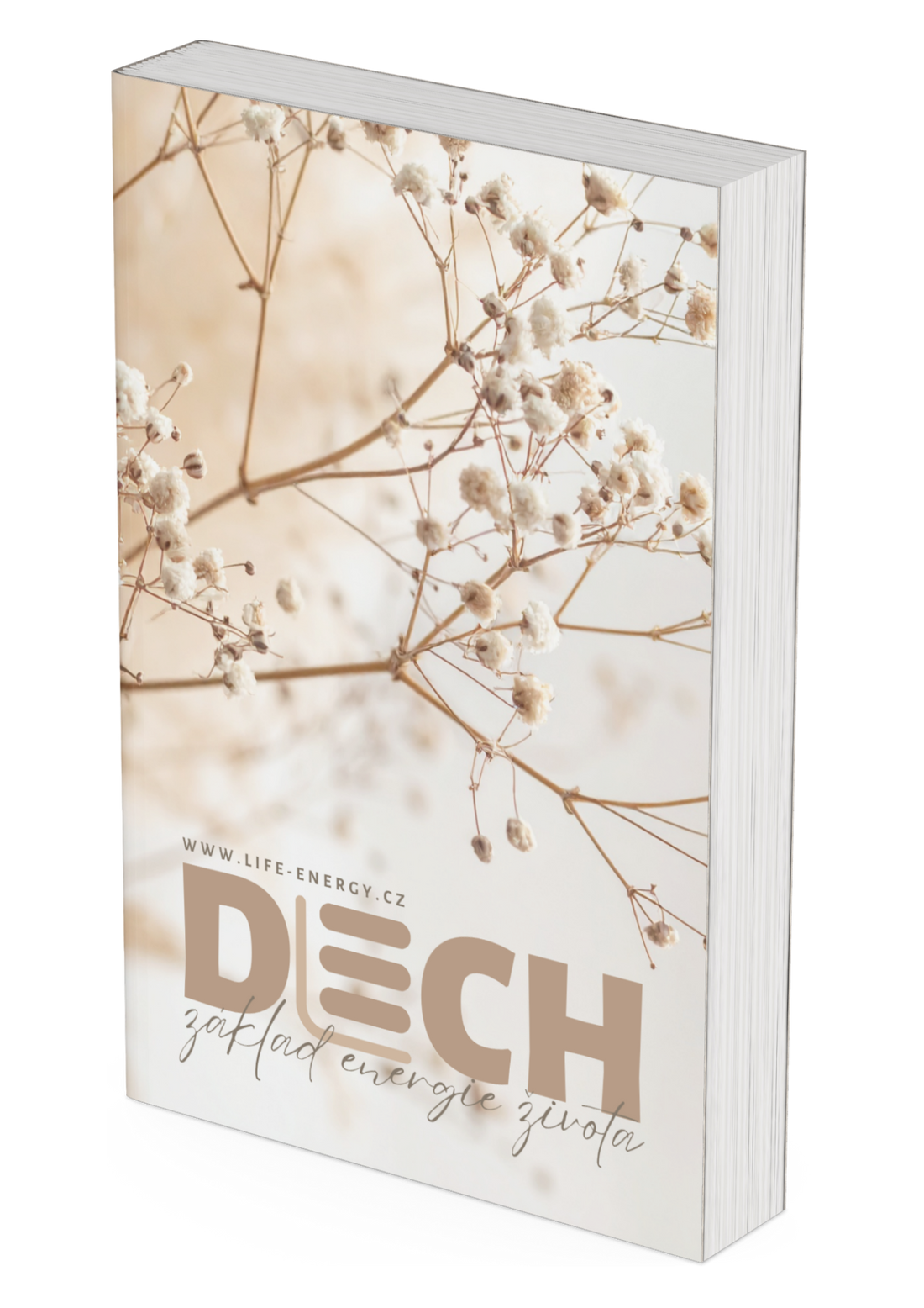 DECH - ebook zdarma