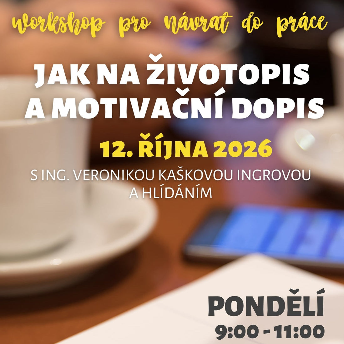 Sebeprezentace v životopise a motivačním dopise
